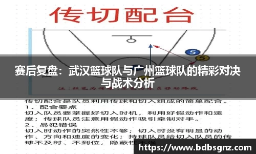 bsports官网入口