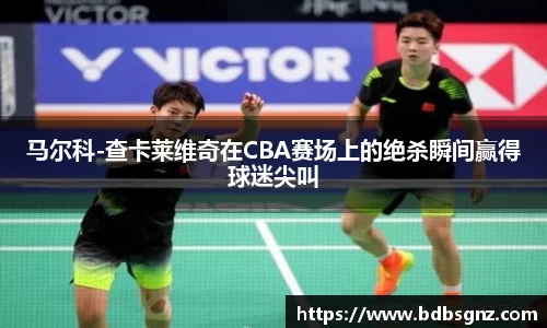 bsports登录入口