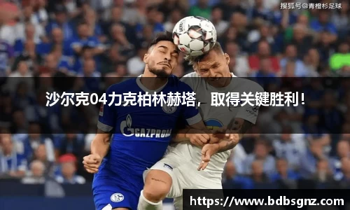 Bsports网页版