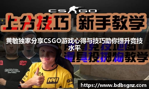 Bsports网页版