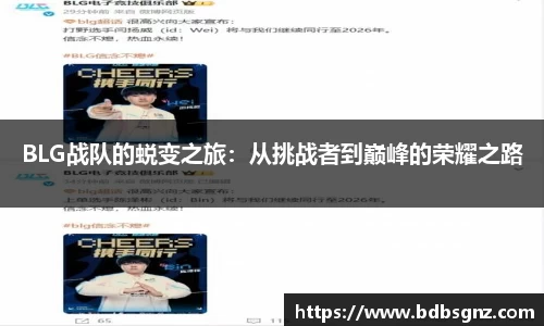 bsports登录入口