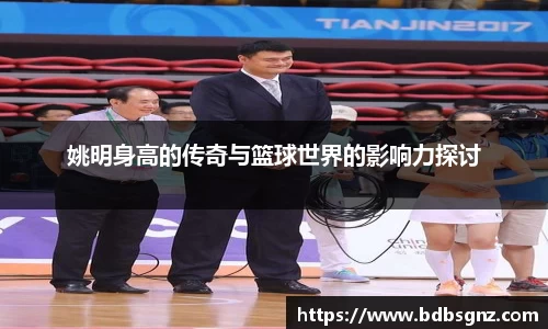 bsports登录入口