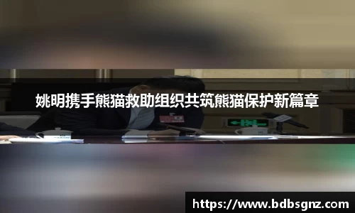Bsports网页版