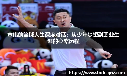 bsports官网入口