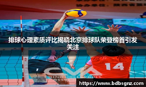 bsports官网入口