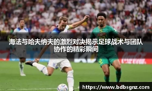 bsports登录入口