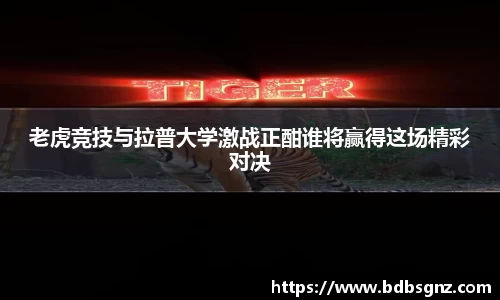 bsports官网入口