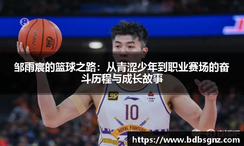 Bsports网页版
