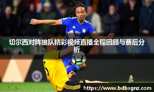 bsports登录入口