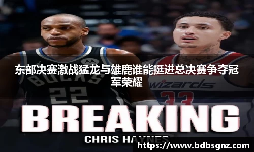 bsports官网入口