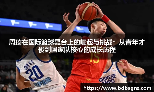 bsports登录入口