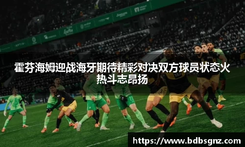 Bsports网页版