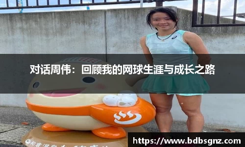 Bsports网页版