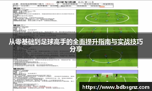 bsports官网入口