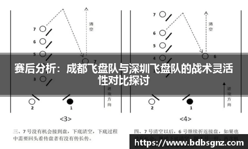 bsports官网入口